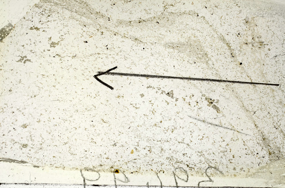 Plane Polarized, S87547