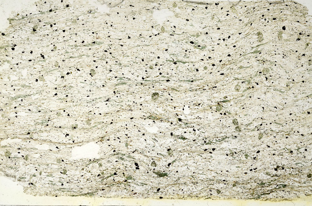 Plane Polarized, S87551