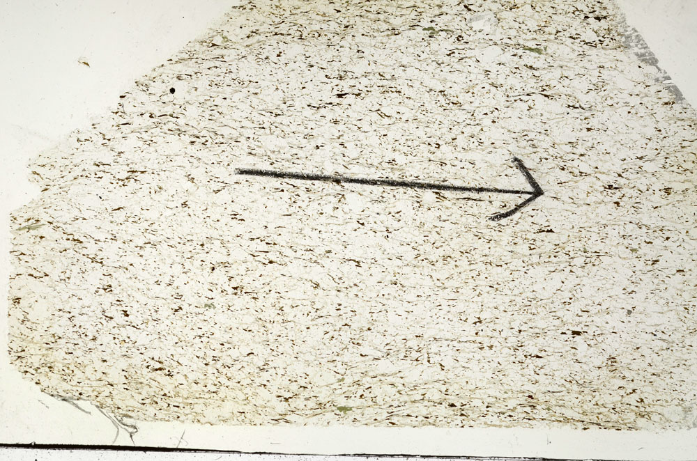 Plane Polarized, S87555