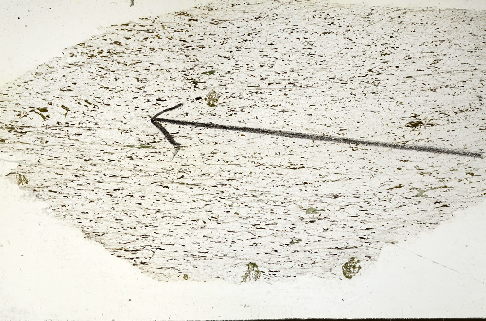 Plane Polarized, S87557