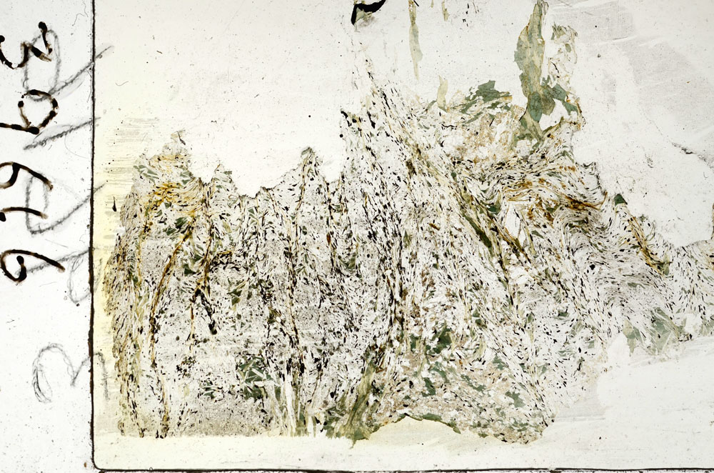 Plane Polarized, S87559