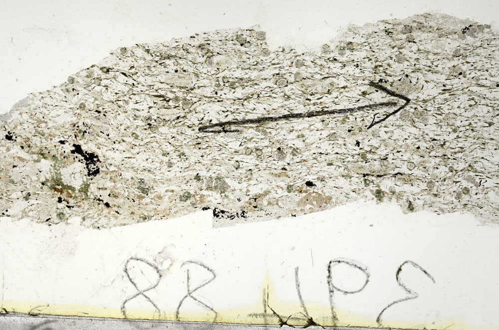 Plane Polarized, S87570