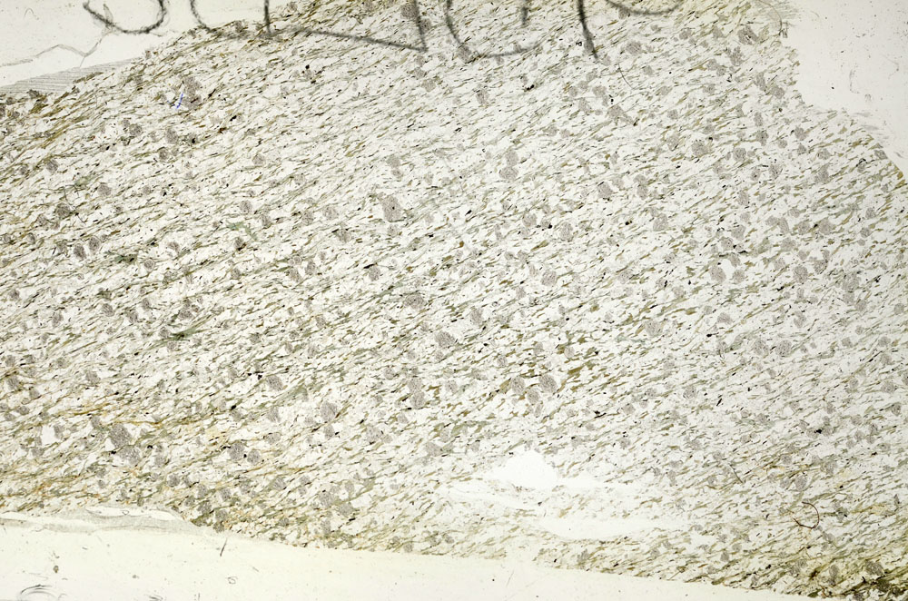 Plane Polarized, S87581