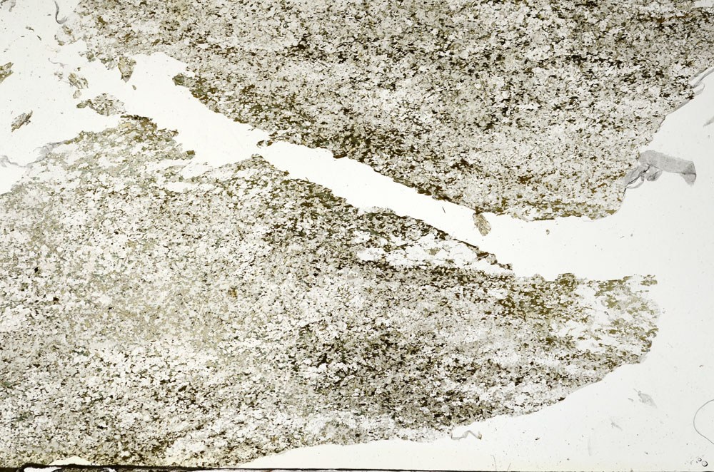Plane Polarized, S87588