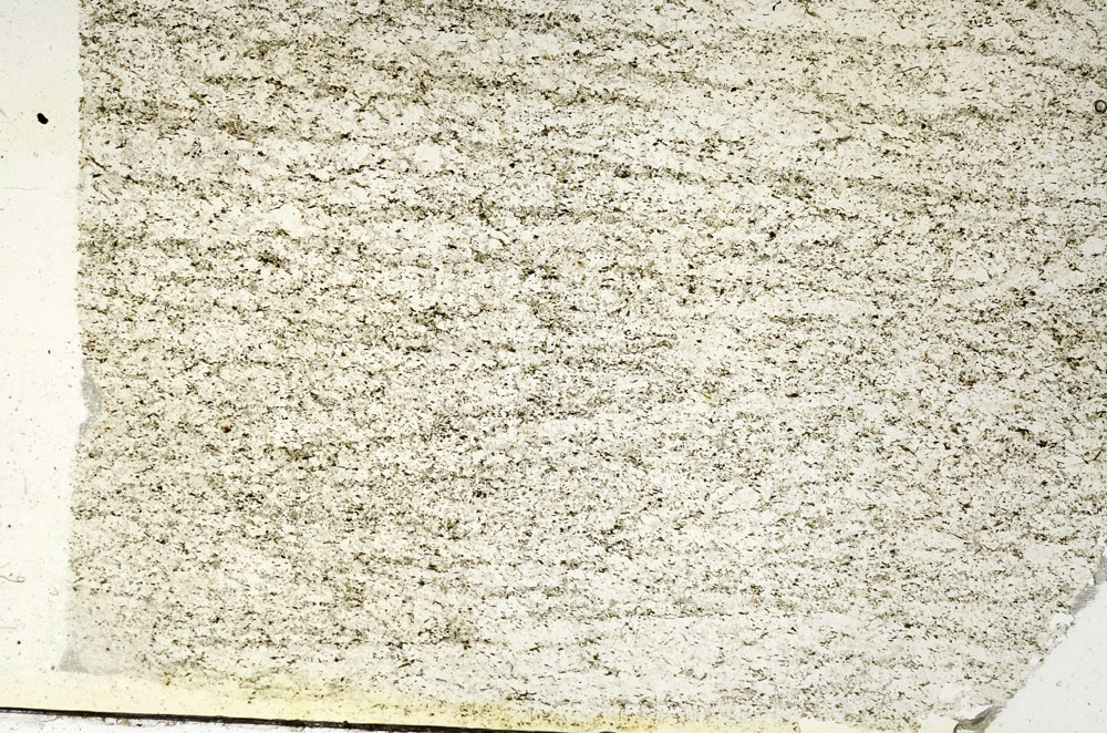 Plane Polarized, S87590