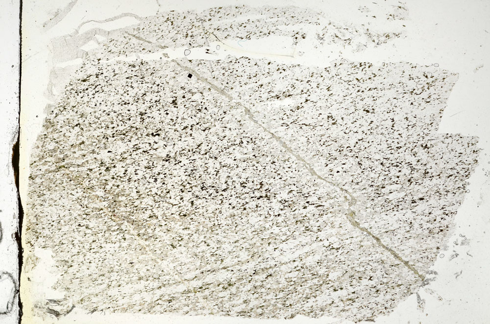 Plane Polarized, S87593