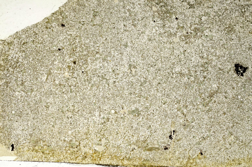 Plane Polarized, S87594