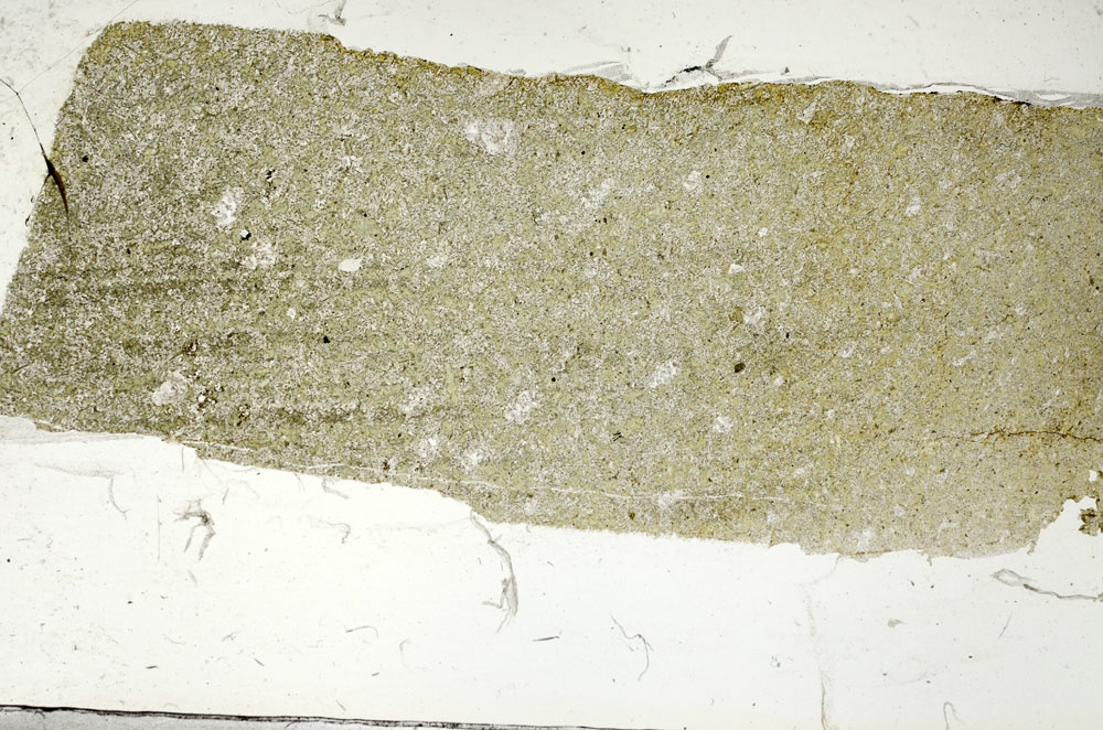 Plane Polarized, S87596