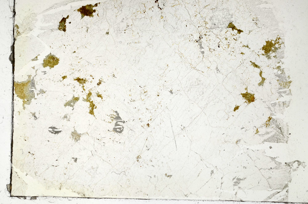 Plane Polarized, S87597