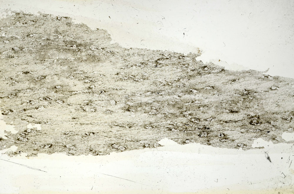 Plane Polarized, S87605