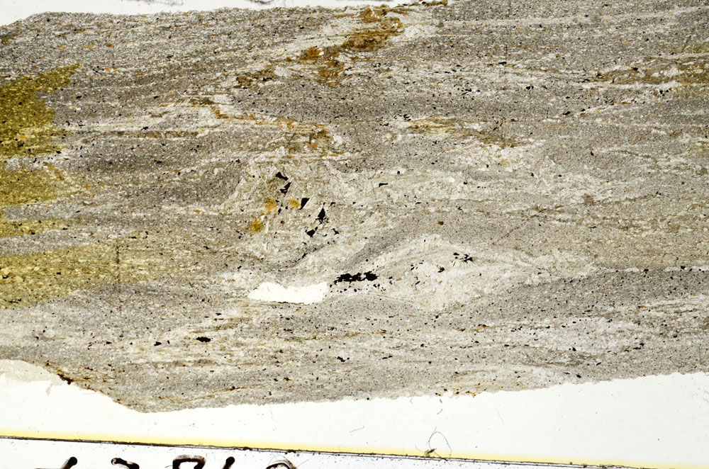 Plane Polarized, S87614