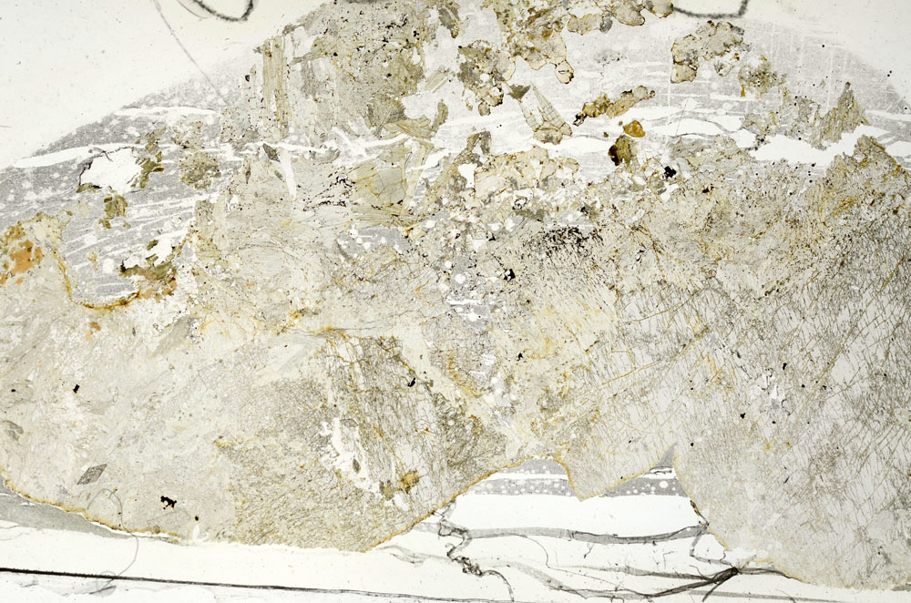Plane Polarized, S87616