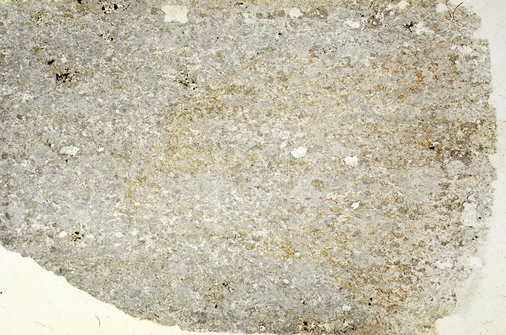 Plane Polarized, S87621