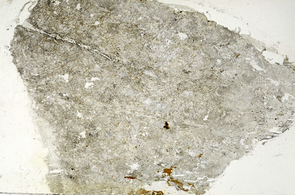 Plane Polarized, S87622