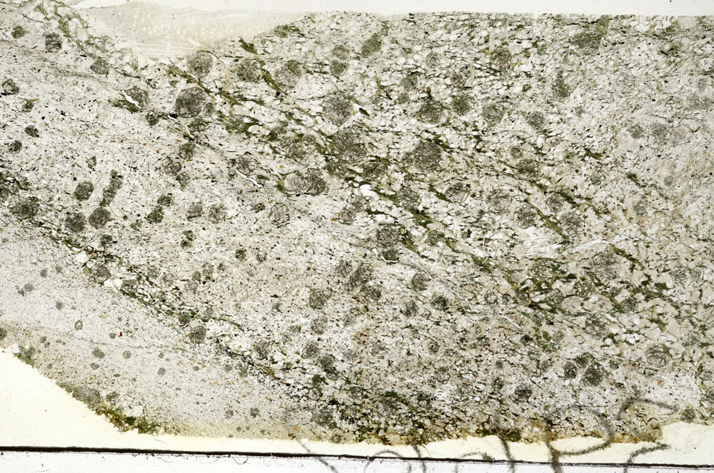 Plane Polarized, S87635