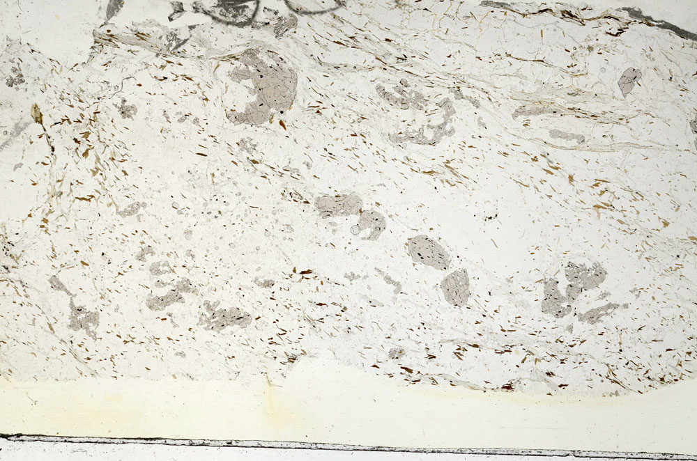 Plane Polarized, S87644