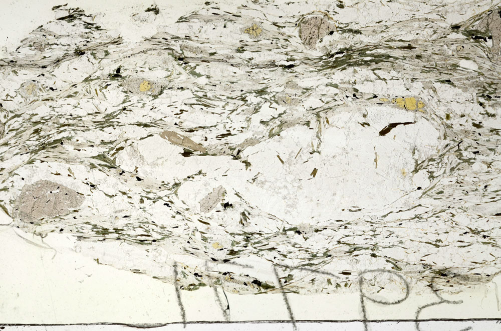 Plane Polarized, S87645