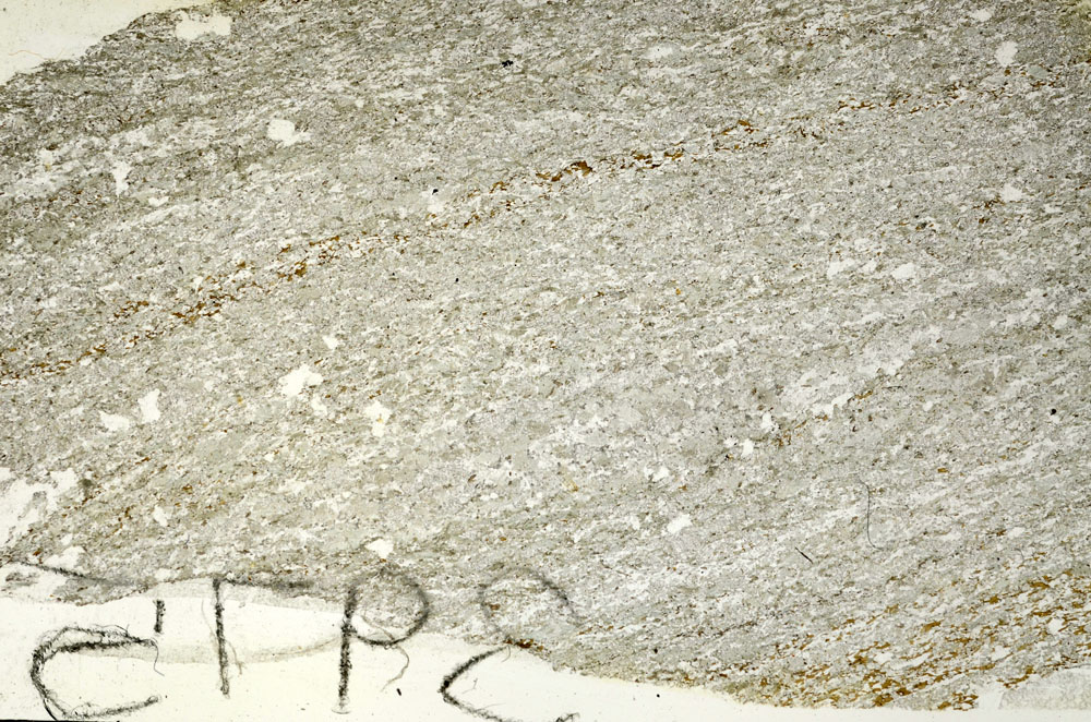 Plane Polarized, S87649