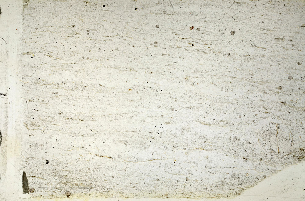 Plane Polarized, S87651
