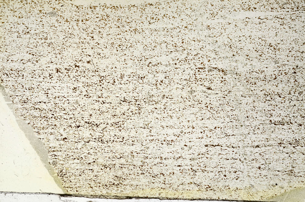 Plane Polarized, S87653