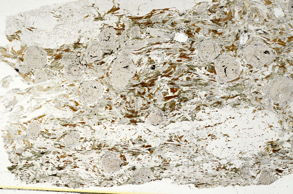 Plane Polarized, S87658