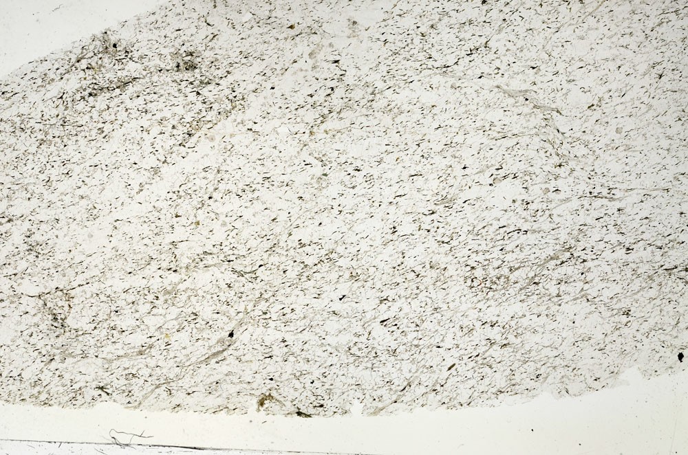 Plane Polarized, S87663