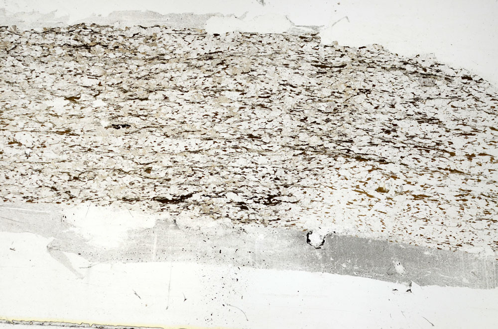 Plane Polarized, S87674