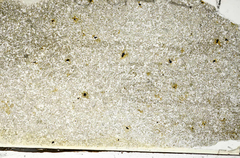 Plane Polarized, S87693