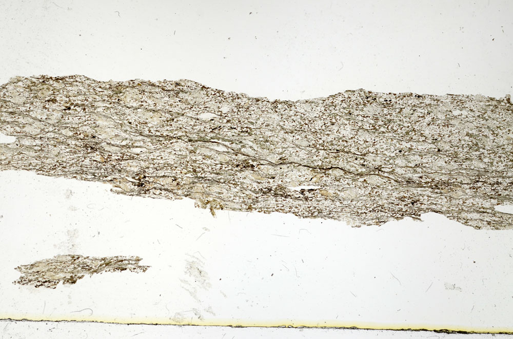 Plane Polarized, S87694