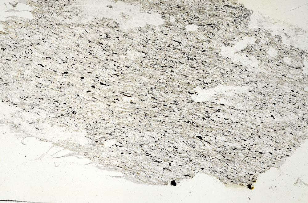 Plane Polarized, S87697