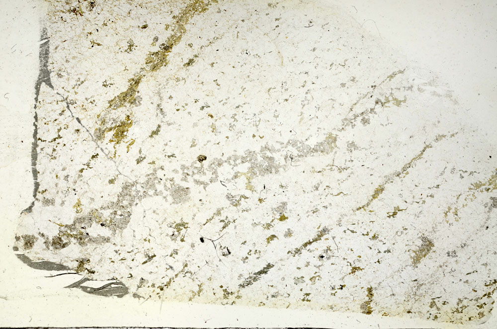 Plane Polarized, S87705
