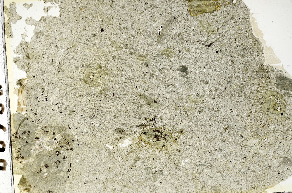 Plane Polarized, S87707