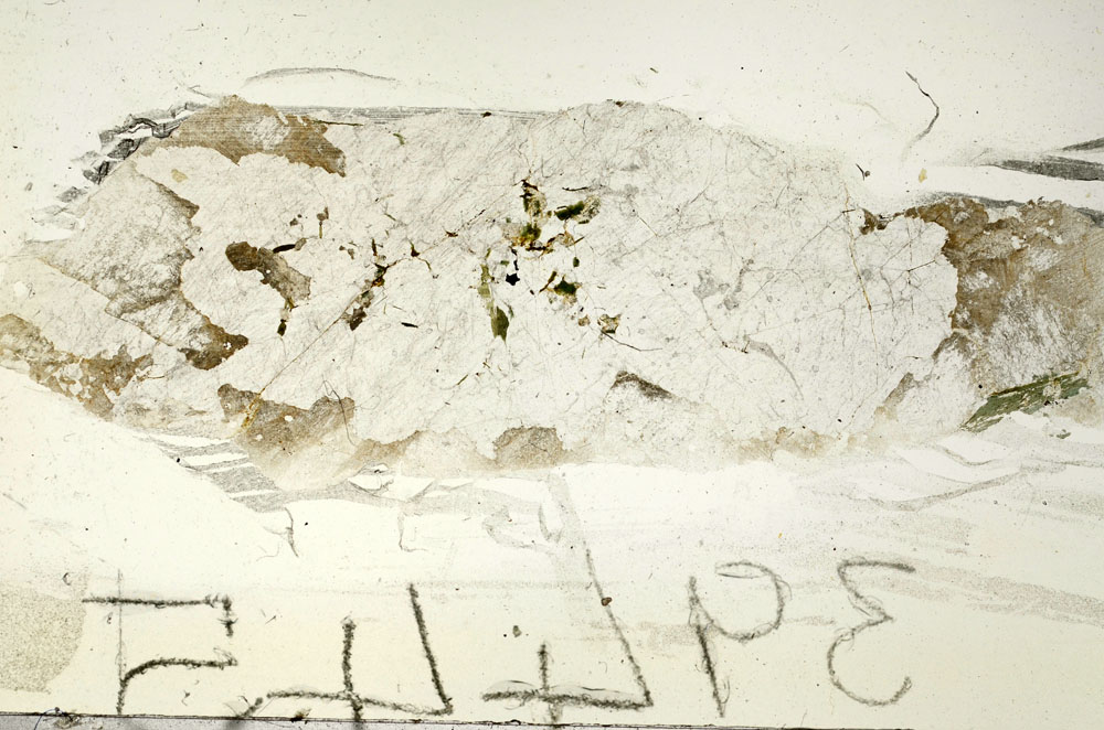 Plane Polarized, S87726
