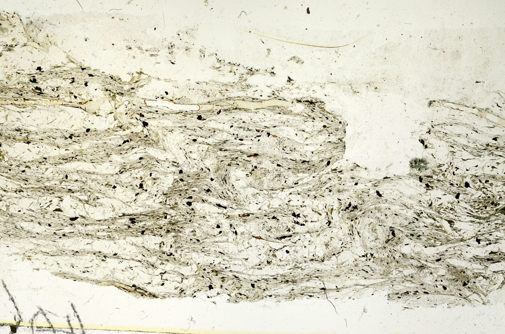 Plane Polarized, S87728