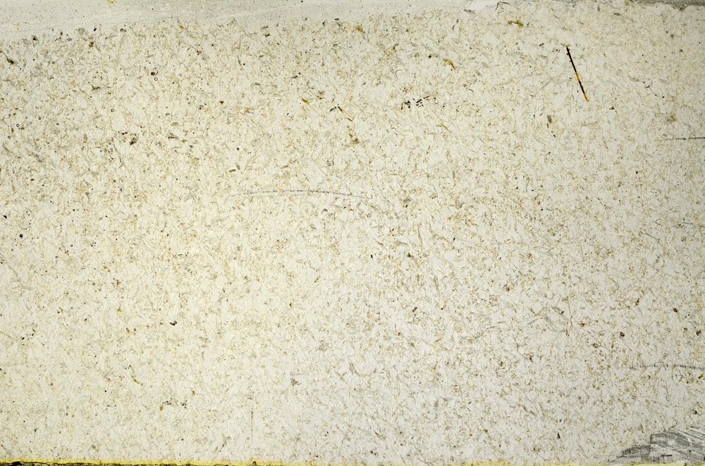 Plane Polarized, S87732
