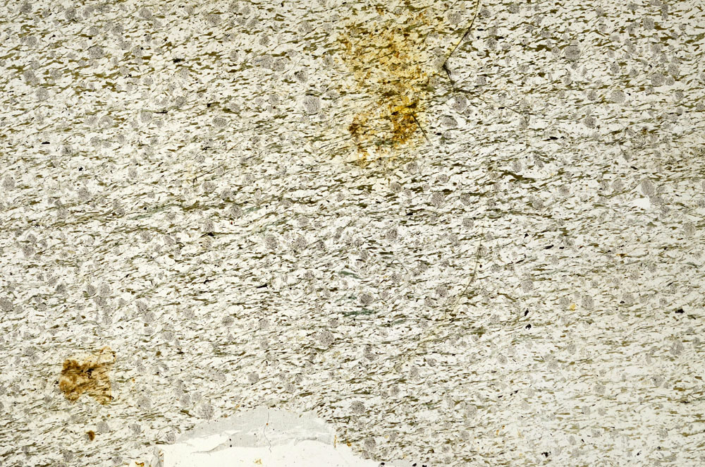 Plane Polarized, S87734