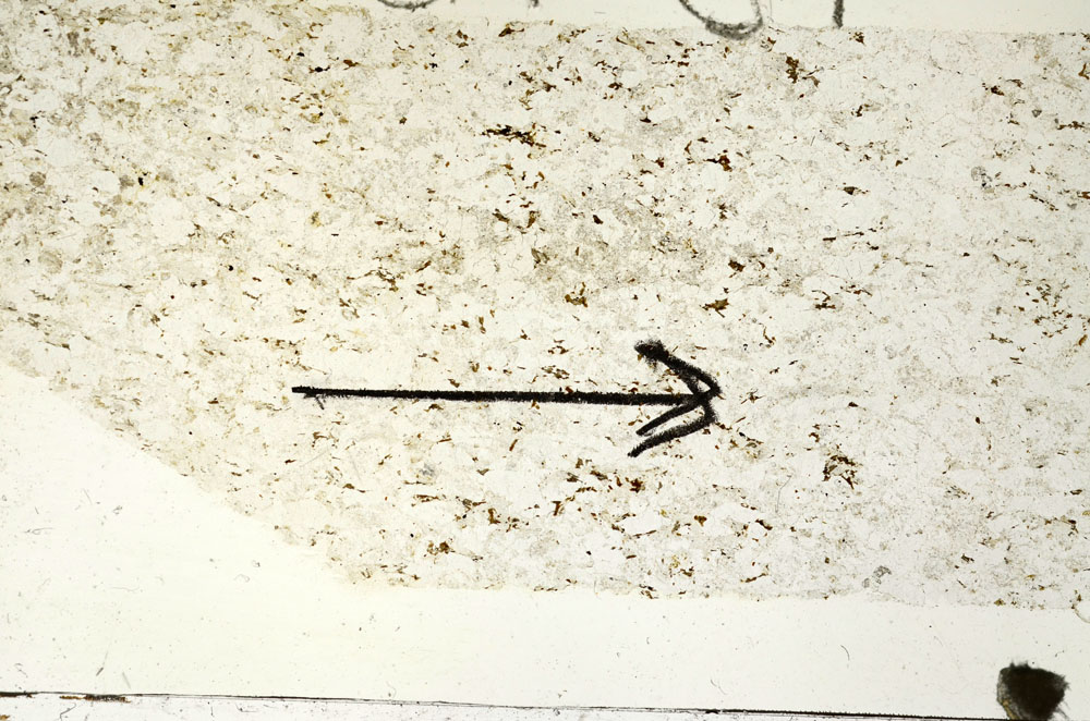 Plane Polarized, S87739