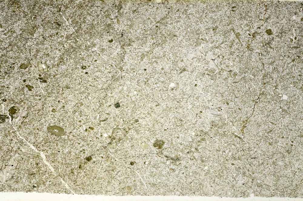 Plane Polarized, S87753