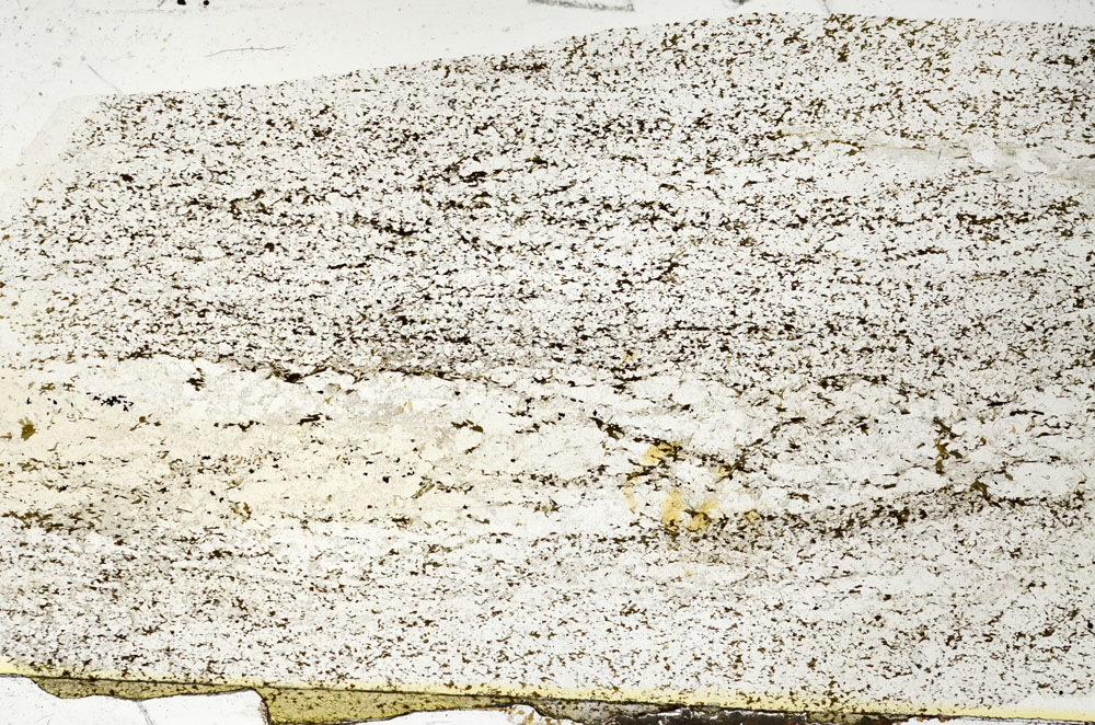 Plane Polarized, S87754