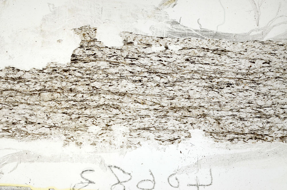 Plane Polarized, S87755