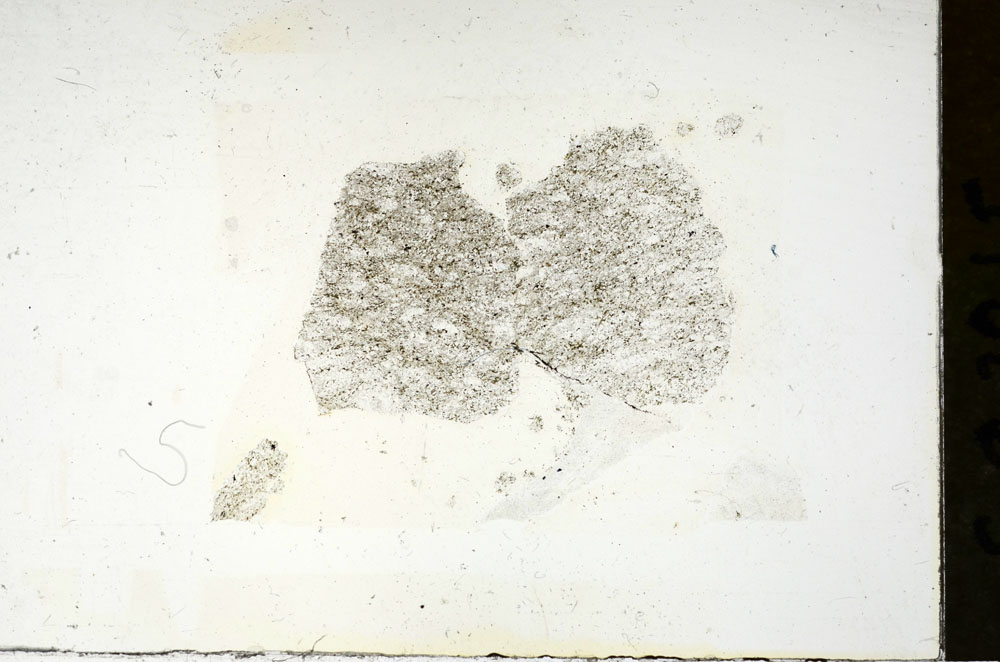 Plane Polarized, S87815