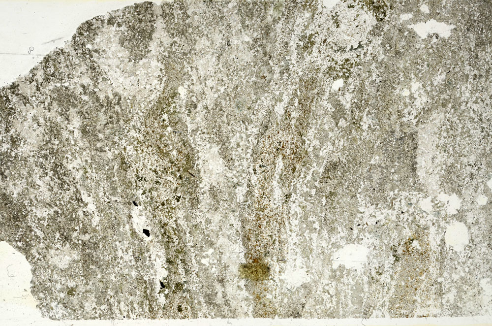 Plane Polarized, S87835