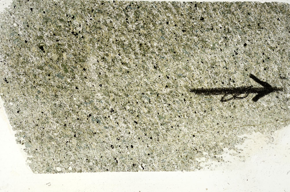 Plane Polarized, S87836