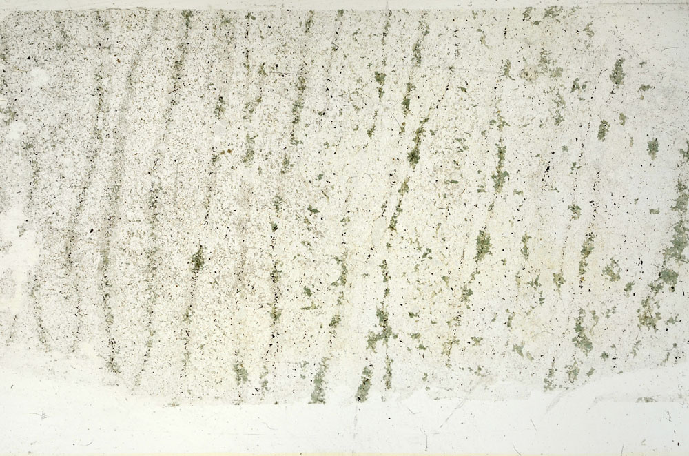 Plane Polarized, S87838