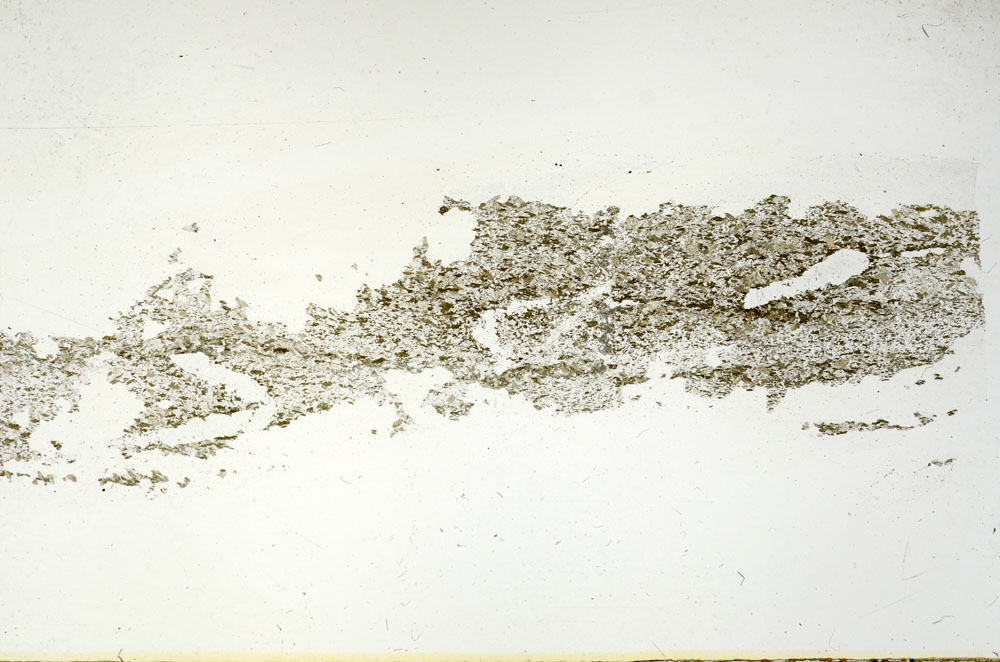 Plane Polarized, S87839