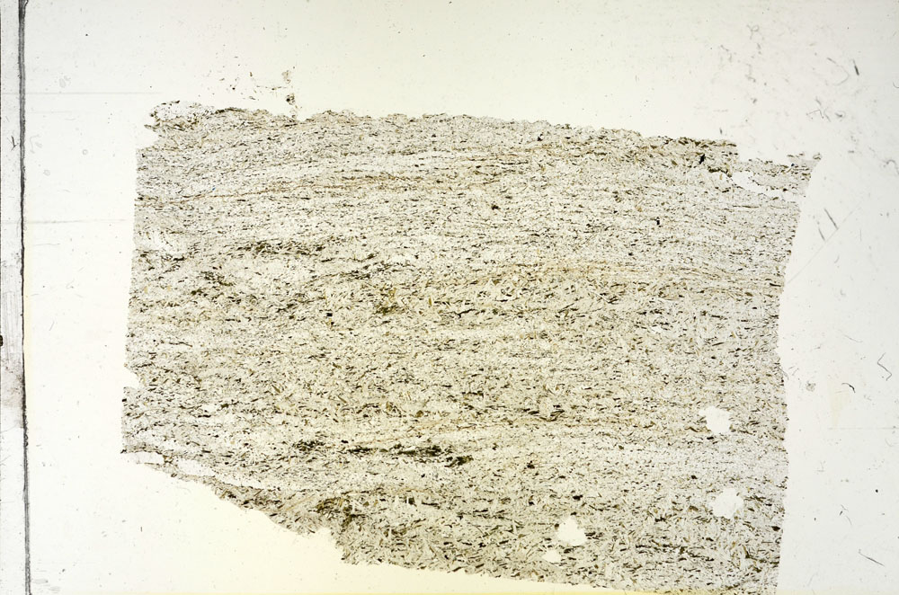 Plane Polarized, S87844