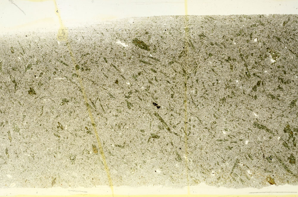 Plane Polarized, S87845