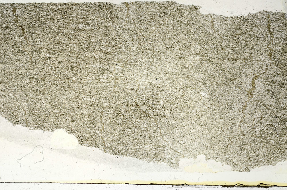 Plane Polarized, S87847