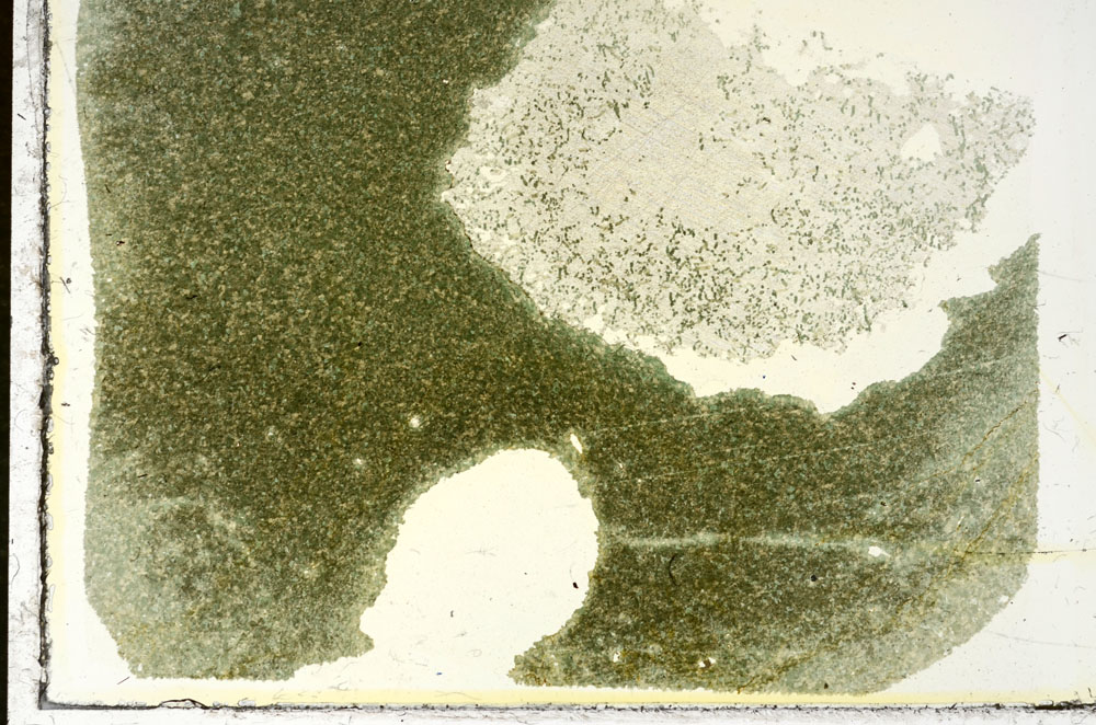Plane Polarized, S87853