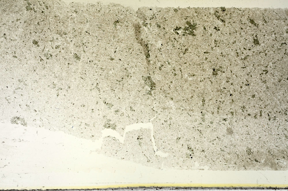 Plane Polarized, S87854